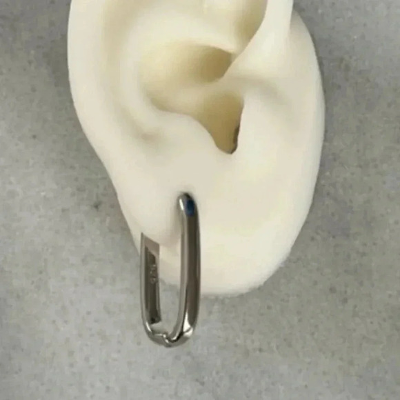 COPY - Sterling Silver Bella Oval Hoop Earrings 

Brand New - Picture 2 of 5